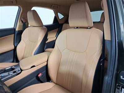 2025 Lexus NX 250 Base