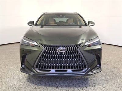 2025 Lexus NX 250 Base