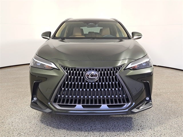 2025 Lexus NX 250 Base