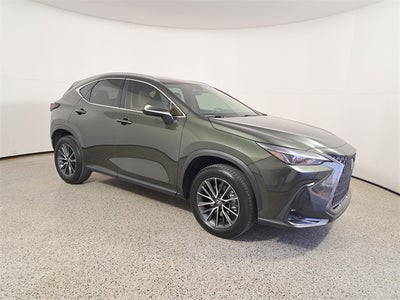 2025 Lexus NX 250 Base