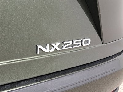 2025 Lexus NX 250 Base