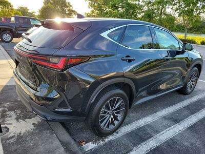2025 Lexus NX 250 Premium