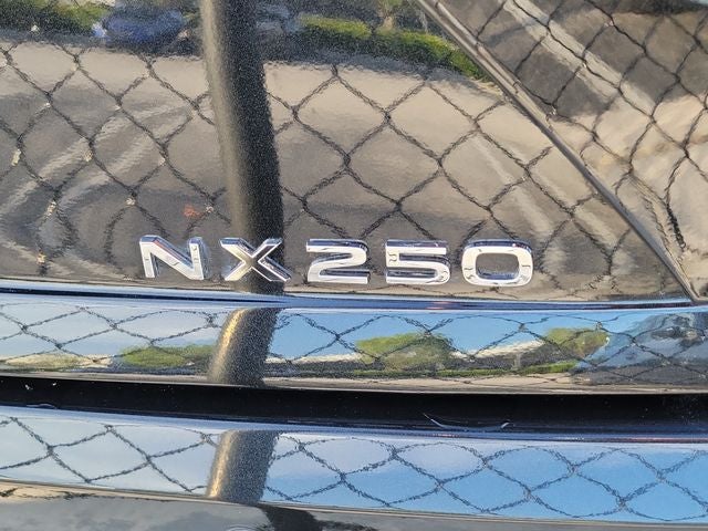 2025 Lexus NX 250 Premium