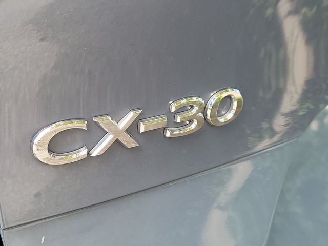 2020 Toyota Sienna XLE 7 Passenger