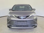 2025 Toyota Sienna Limited 7 Passenger