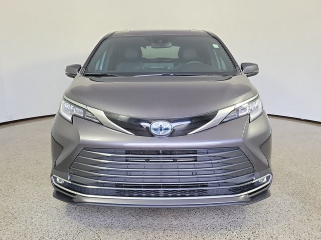 2025 Toyota Sienna Limited 7 Passenger