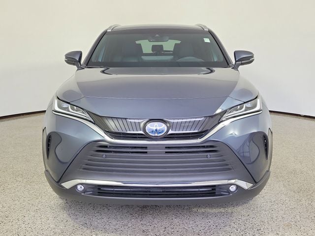 2024 Toyota Venza XLE