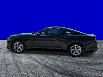 2023 Ford Mustang EcoBoost