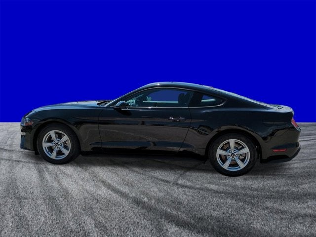 2023 Ford Mustang EcoBoost