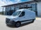 2025 Mercedes-Benz Sprinter Cargo Van Cargo 170 WB