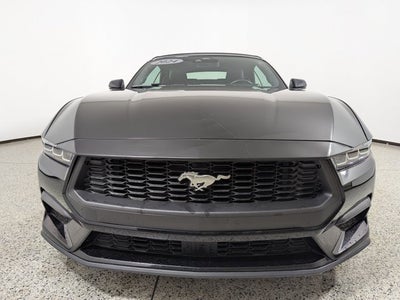 2024 Ford Mustang EcoBoost Premium Convertible