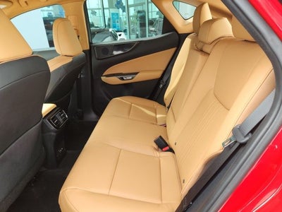 2024 Lexus NX 250 250 Base