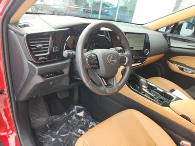 2024 Lexus NX 250 250 Base