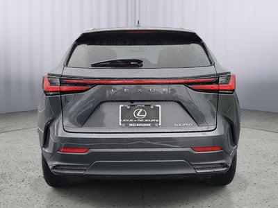 2025 Lexus NX NX 250 Premium