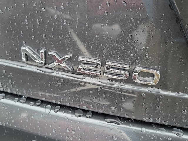 2025 Lexus NX NX 250 Premium