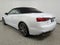 2024 Audi S5 Cabriolet Premium Plus 3.0 TFSI quattro