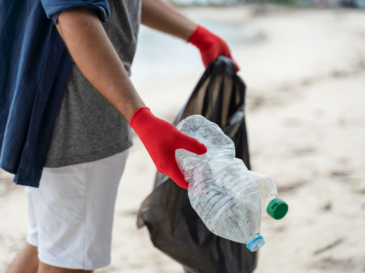 Southern 441 Toyota Beach Clean-Up with Loggerhead Marinelife Center